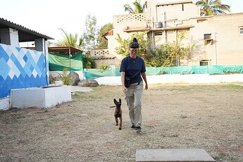 Training for new addition to the project - K9 Laika