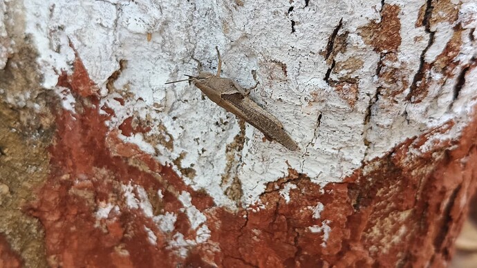 WhatsApp Image 2026-03-09 at 11.47.08 AM