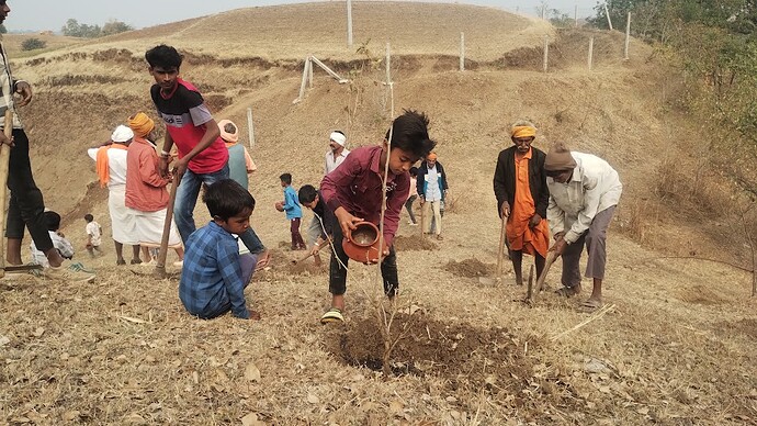 IMG_20260204_105310162