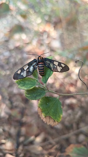 WhatsApp Image 2026-03-09 at 11.47.19 AM