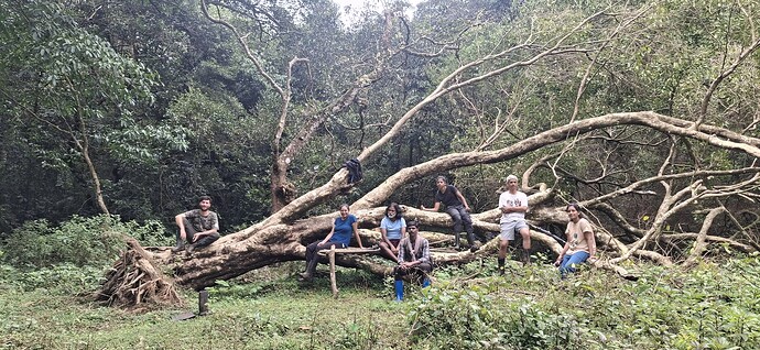 Forest Walks essential to GBS  immersive programmes