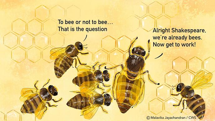 To_bee_or_not_to_bee...that_is_the_question