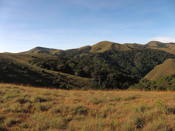 ADas_sholarestoration_landscape (2)