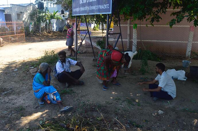 WhatsApp Image 2026-01-16 at 10.51.53 AM (2)