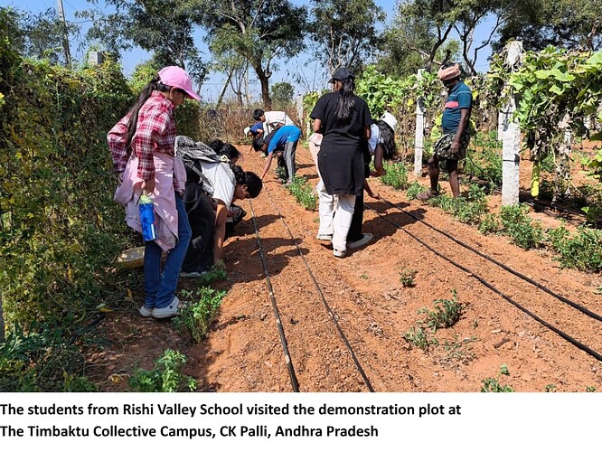 The students from Rishi Valley School visited the demonstration plot