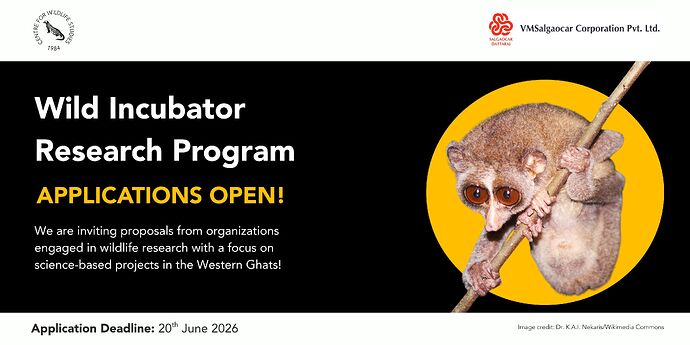 Applications Open! (1)