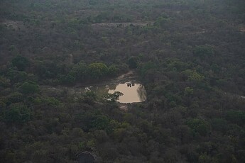 Elephant herd photographed in BNP