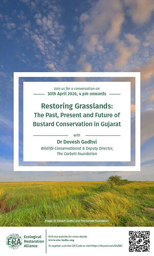 Email 600 x 1000-100