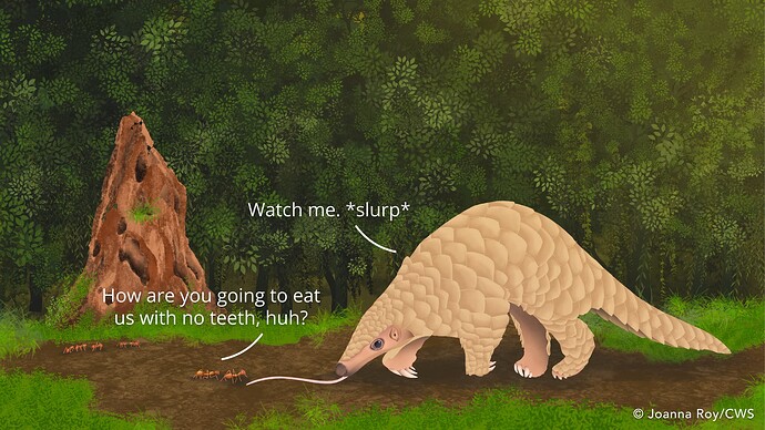 2026_CWS_Pangolin_Day_Comic_(1)