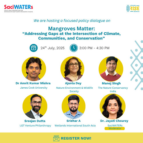 Webinar Poster