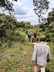 Wildlife overpass fieldwork