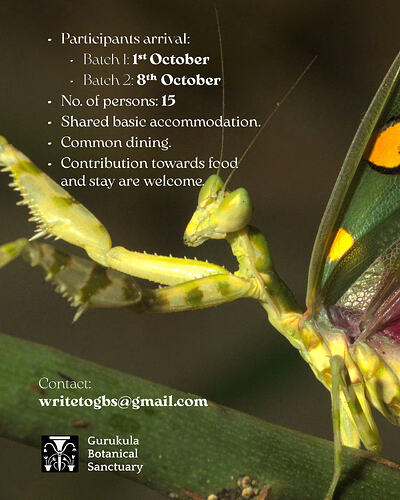 Exploring Insects GBS 2026-images-2