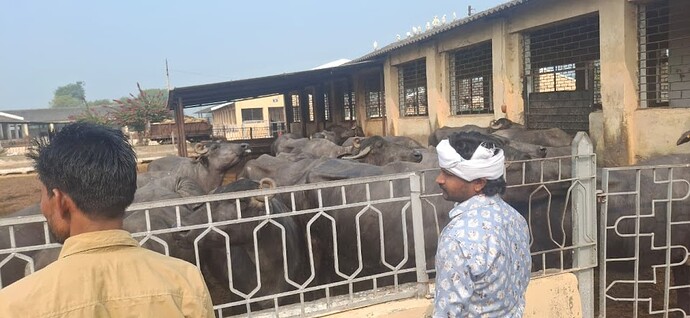 WhatsApp Image 2026-02-04 at 12.16.50