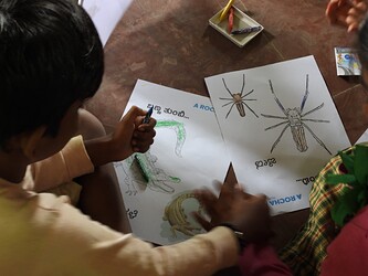 Know your environment colouring activity