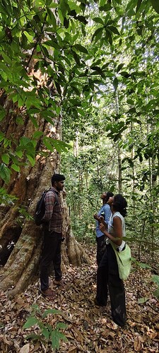 Anaswara, Nivi (1)