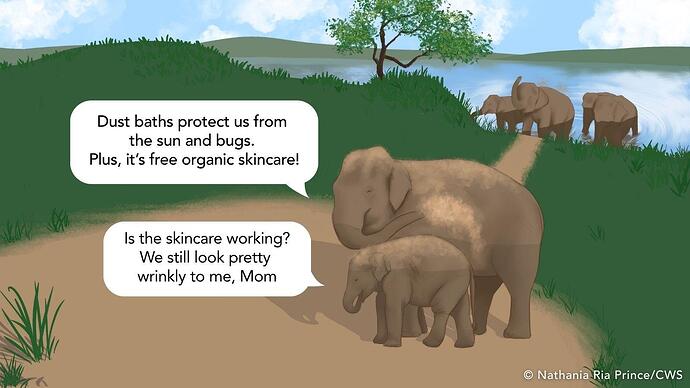 Elephant_Day_Comic_Dust_Bath_Colour