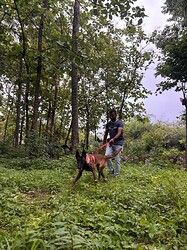 K9 Laika