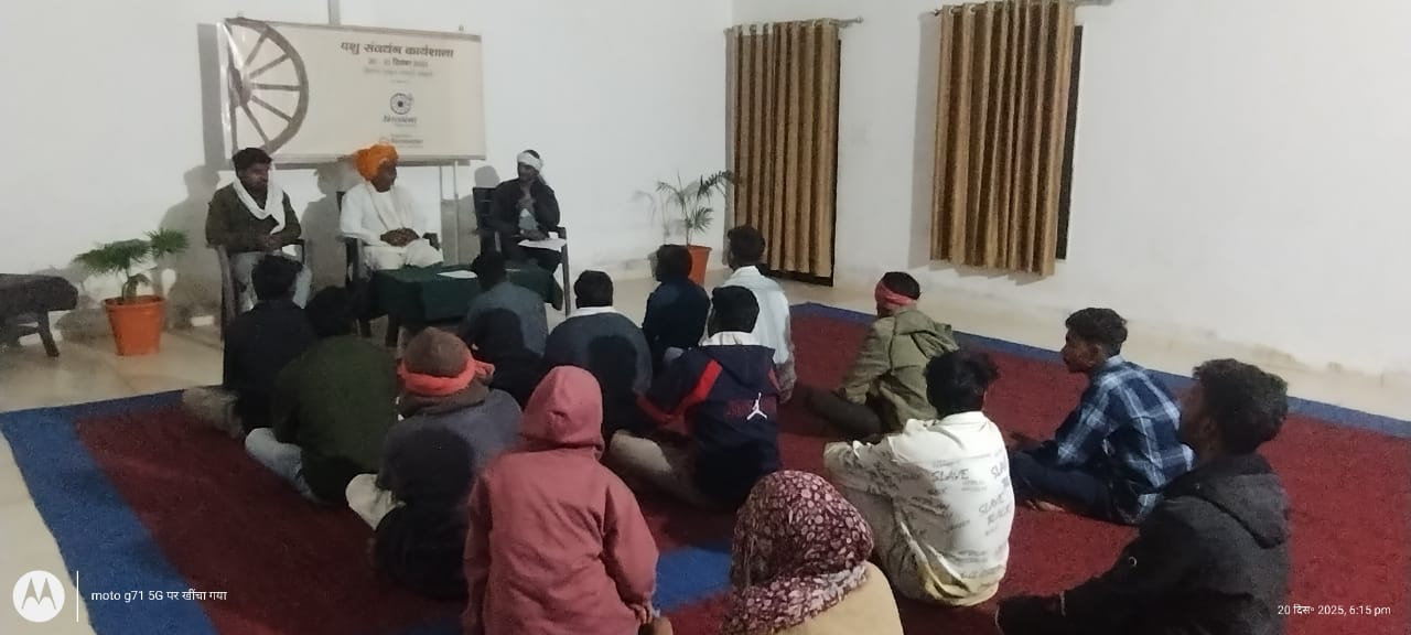 WhatsApp Image 2025-12-20 at 18.44.33 (1)