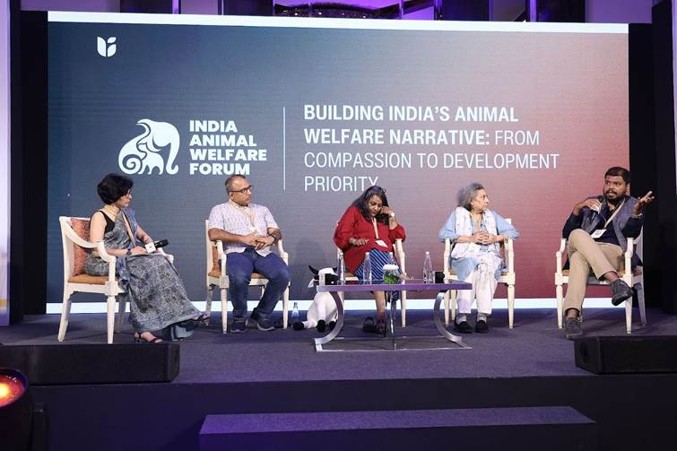 india animal welfare forum