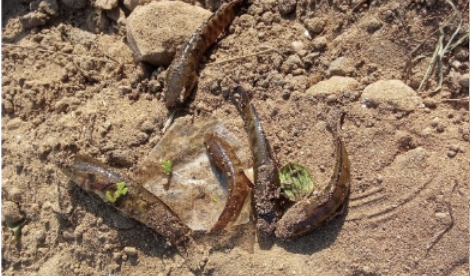 Screenshot 2026-03-12 at 12.24.55 PM